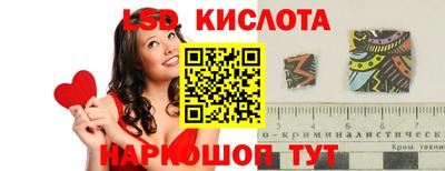 молекула духа Тверь