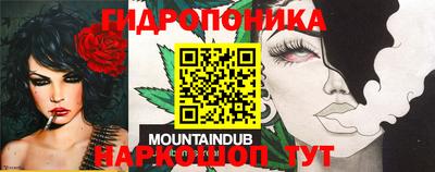 молекула духа Тверь
